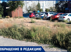 Ад для аллергиков: жители возмущены отказом ДСиГХ косить поле амброзии на улице Карла Маркса