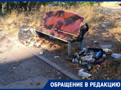 Волгодонск погряз в грязи: мусор и бутылки «украсили» аллею города