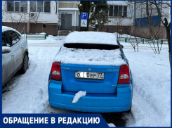 «С каких пор в Волгодонске дорожные знаки прикручивают на деревья?»: волгодонец