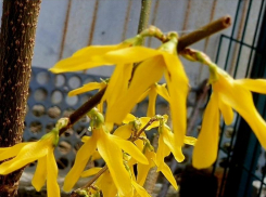 Облачно и прохладно будет в Волгодонске в среду