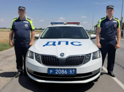 С мигалками и светом инспекторы ДПС экстренно сопроводили молодую роженицу до роддома в Волгодонском районе 