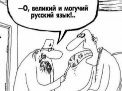 В Волгодонске стали известны результаты ЕГЭ по русскому языку 