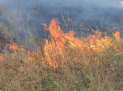 Цимлянские пожарные не позволили огню уничтожить поселок Саркел