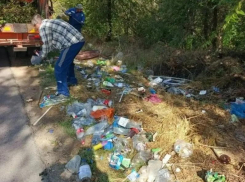 Коммунальщики ликвидировали стихийную мусорную свалку на улице Отдыха