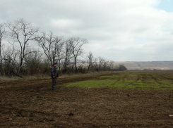 Свалку на 3,6 гектара убрали в Волгодонском районе после предостережения Россельхознадзора