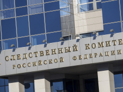 Школьница из Волгодонска стала призером конкурса на лучший антикоррупционный рисунок