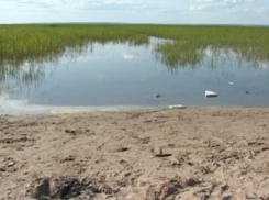 ТОП-10 мест для купания в Волгодонске, Цимлянске и Романовской