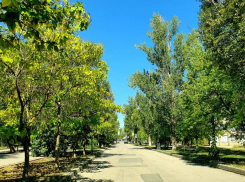 Жаркая, но ветреная погода будет в предпоследний вторник лета 