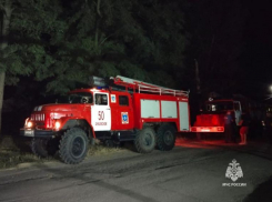 Два пожилых человека погибли в страшном пожаре в селе Дубовское 