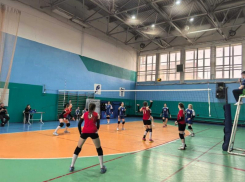 Волгодонские студенты произвели триумф на зональном этапе Спартакиады