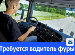 В Волгодонске ищут водителя фуры для междугородних перевозок 