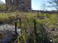 Мальчик напоролся ногой на штырь на заброшенной стройке в Волгодонске