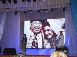 В память о павших на полях сражений в Волгодонске прошел День белых журавлей