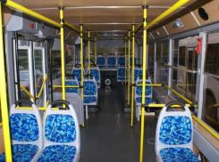 Власти Волгодонска планируют сделать прямые маршруты общественного транспорта к кладбищам за «Атоммашем»