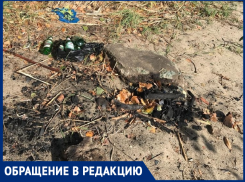«Мы сами губим любимый Дон»: волгодонец о замусоренном береге реки 