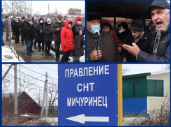 «Старая гвардия» из правления свергает председателя садоводства «Мичуринец» 