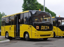 Автобус для перевозки детей за 2,7 млн рублей готова приобрести волгодонская школа-интернат «Восхождение»