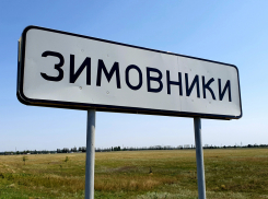 Крымской лихорадкой заболели жители Зимовниковского района после укусов клещей