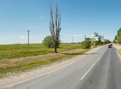 На въезде в Волгодонск устроят сельскохозяйственную ярмарку 