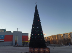 Новогодняя елка в «новом городе» «не пережила» свой первый год пребывания в Волгодонске