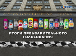 Предварительное голосование подарило волгодонцам пятипартийную Госдуму
