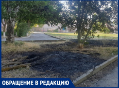 «Так весь город спалить можно»: в Волгодонске участились случаи поджога лежащих полгода куч сухих веток