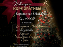 Новогодние корпоративы в караоке-баре «SHALYPIN»