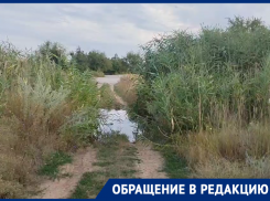 «В залив текут сточные воды»: волгодонцы бьют тревогу из-за загрязнения старого пляжа В-9