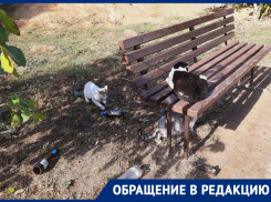 Новый мусорный очаг и ночлежка для бомжей образовались на улице Карла Маркса