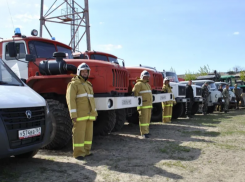 В Ростовской области ограничили посещение лесов из-за угрозы пожаров