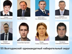 Выразите свое отношение к 8 кандидатам в праймериз «ЕР» по Волгодонскому округу №155 