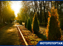 Время словно замирает: как выглядит окутанный в янтарные краски Волгодонск осенью