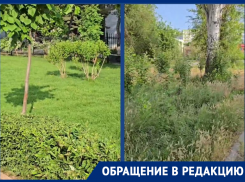 «Хочу показать вам город изнутри»: в Волгодонске возле здания Росатома все поросло бурьяном