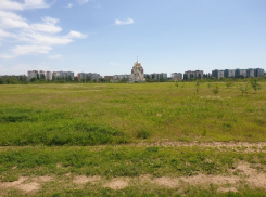 До +30 градусов обещают синоптики в Волгодонске сегодня