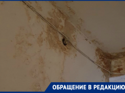«Что может сделать для дома УК, если выглядит таким образом»: волгодонцы шокированы состоянием ЖЭКа 