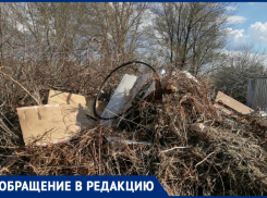 Через тернии к дачам приходится пробираться волгодонцам в садоводстве «Строитель»
