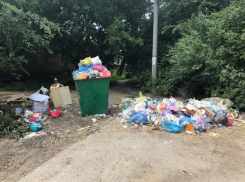 Камеры видеонаблюдения установят на пяти мусорных площадках Волгодонска