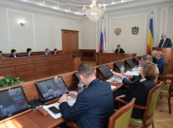 На подведение коммуникаций к участкам для многодетных Ростовской области нужно 44 млрд рублей