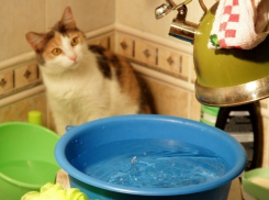 Волгодонцев «кормят завтраками» откладывая включение горячей воды