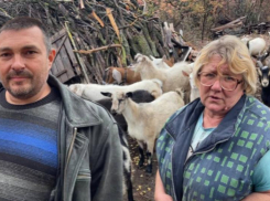 Козы раздора: хозяйка стада и председатель гаражного кооператива не могут поделить лесополосу