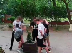 Интрига закручивается: появились две версии погрома школьниками вазона на Гагарина