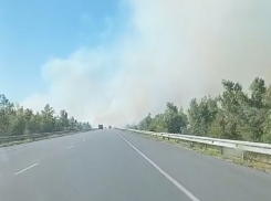 Сильный пожар возник на острове между Доном и Сухой у трассы Волгодонск - Цимлянск