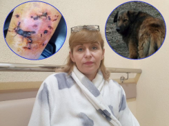 «Была мысль, что всё - меня съели»: интервью с волгодончанкой, растерзанной бездомными собаками на «Насосной»