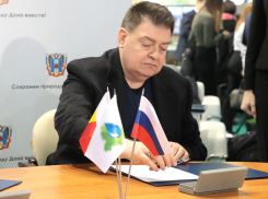 Экс-депутату Госдумы грозит длительный срок: основанный им многомиллиардный завод уже 10 лет не могут достроить в Ростовской области