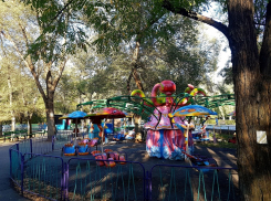 Паркам Волгодонска грозит банкротство и распил аттракционов на лом