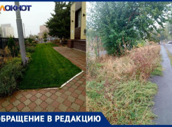 «Две разные реальности - лужайка атомной и города»: возмущенная жительница ищет тех, кто должен убирать заросшую территорию 