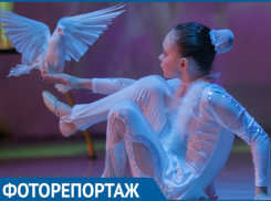 В Волгодонске прошла памятная дата «День белых журавлей»