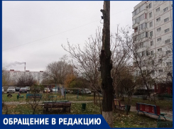 «Ждут несчастного случая»: трухлявый тополь на Весенней навис над детской площадкой 