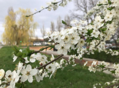 Пасмурно и сильный ветер: о погоде в Волгодонске на вторник 