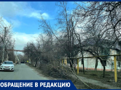 «Штрафы за вырубку немалые, а помочь городу хочется»: волгодонец поинтересовался законно ли пилить упавшие после циклона деревья 
